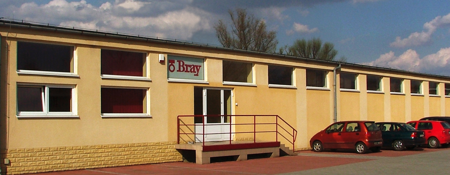 Bray-2006